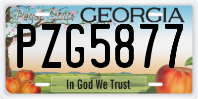 GA license plate PZG5877