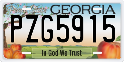 GA license plate PZG5915