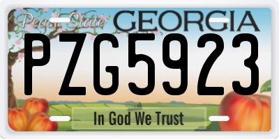 GA license plate PZG5923