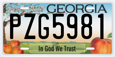 GA license plate PZG5981