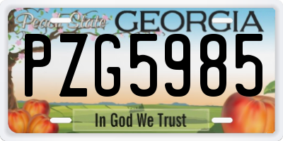 GA license plate PZG5985
