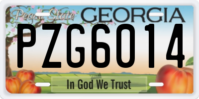 GA license plate PZG6014