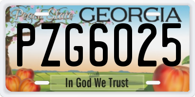 GA license plate PZG6025