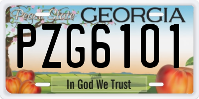 GA license plate PZG6101