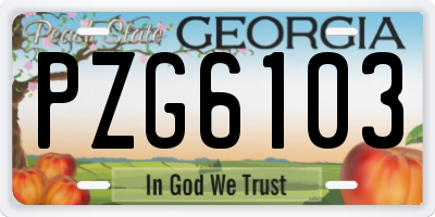GA license plate PZG6103