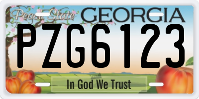GA license plate PZG6123