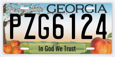 GA license plate PZG6124
