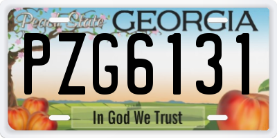 GA license plate PZG6131