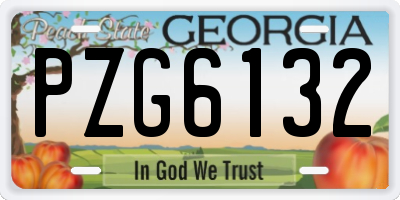 GA license plate PZG6132