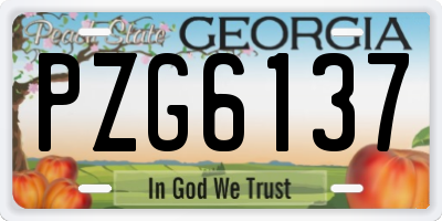 GA license plate PZG6137