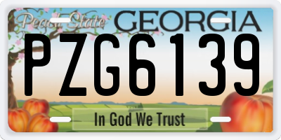 GA license plate PZG6139