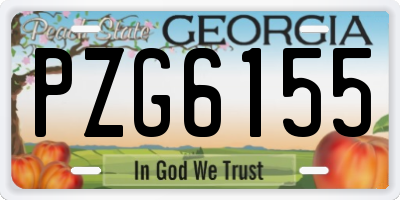 GA license plate PZG6155
