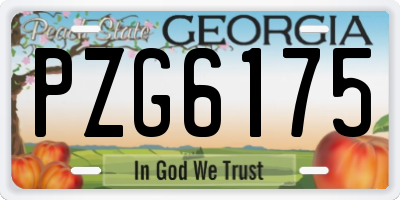 GA license plate PZG6175