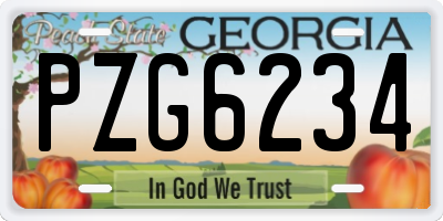 GA license plate PZG6234