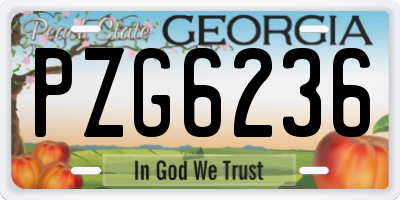 GA license plate PZG6236