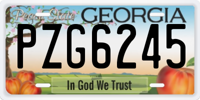 GA license plate PZG6245