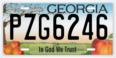 GA license plate PZG6246
