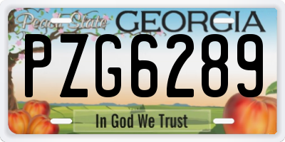 GA license plate PZG6289