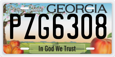 GA license plate PZG6308