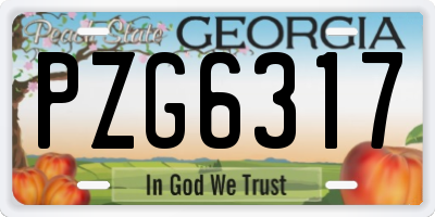GA license plate PZG6317