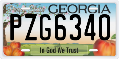 GA license plate PZG6340