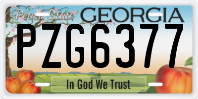 GA license plate PZG6377
