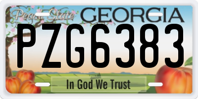 GA license plate PZG6383