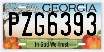 GA license plate PZG6393