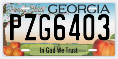 GA license plate PZG6403
