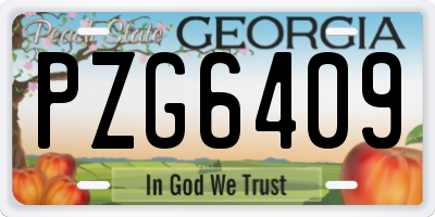 GA license plate PZG6409