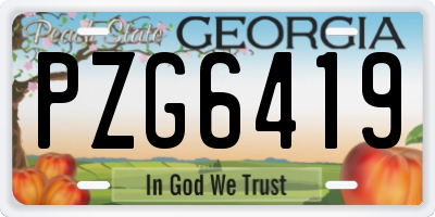 GA license plate PZG6419
