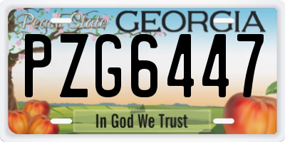 GA license plate PZG6447