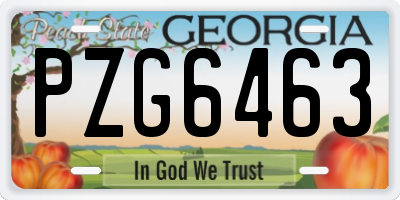 GA license plate PZG6463