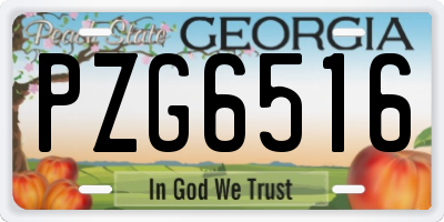 GA license plate PZG6516