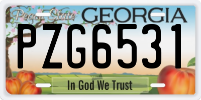 GA license plate PZG6531