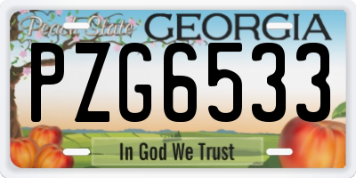 GA license plate PZG6533