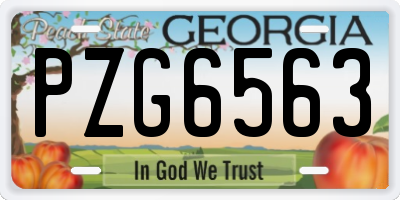 GA license plate PZG6563