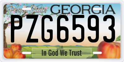 GA license plate PZG6593