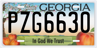 GA license plate PZG6630