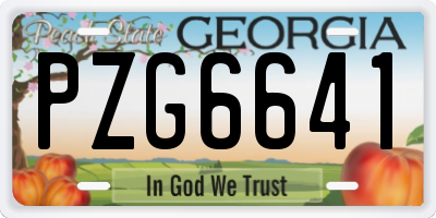 GA license plate PZG6641