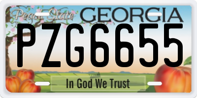 GA license plate PZG6655