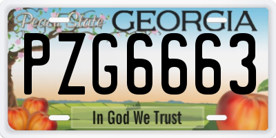 GA license plate PZG6663