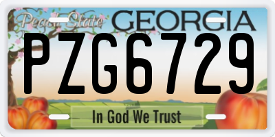 GA license plate PZG6729