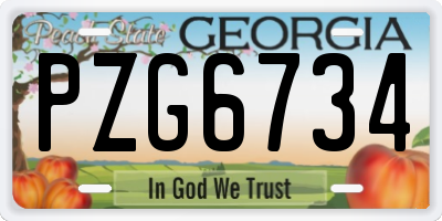 GA license plate PZG6734