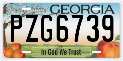 GA license plate PZG6739