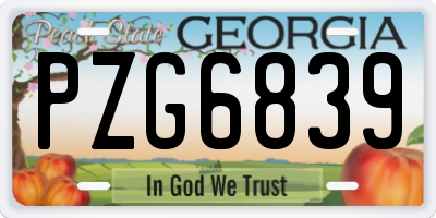 GA license plate PZG6839