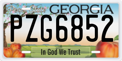 GA license plate PZG6852