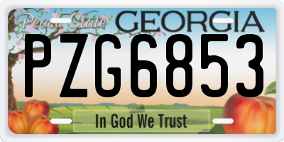 GA license plate PZG6853