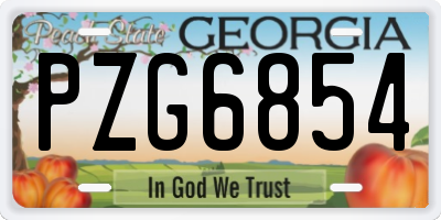 GA license plate PZG6854