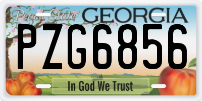 GA license plate PZG6856